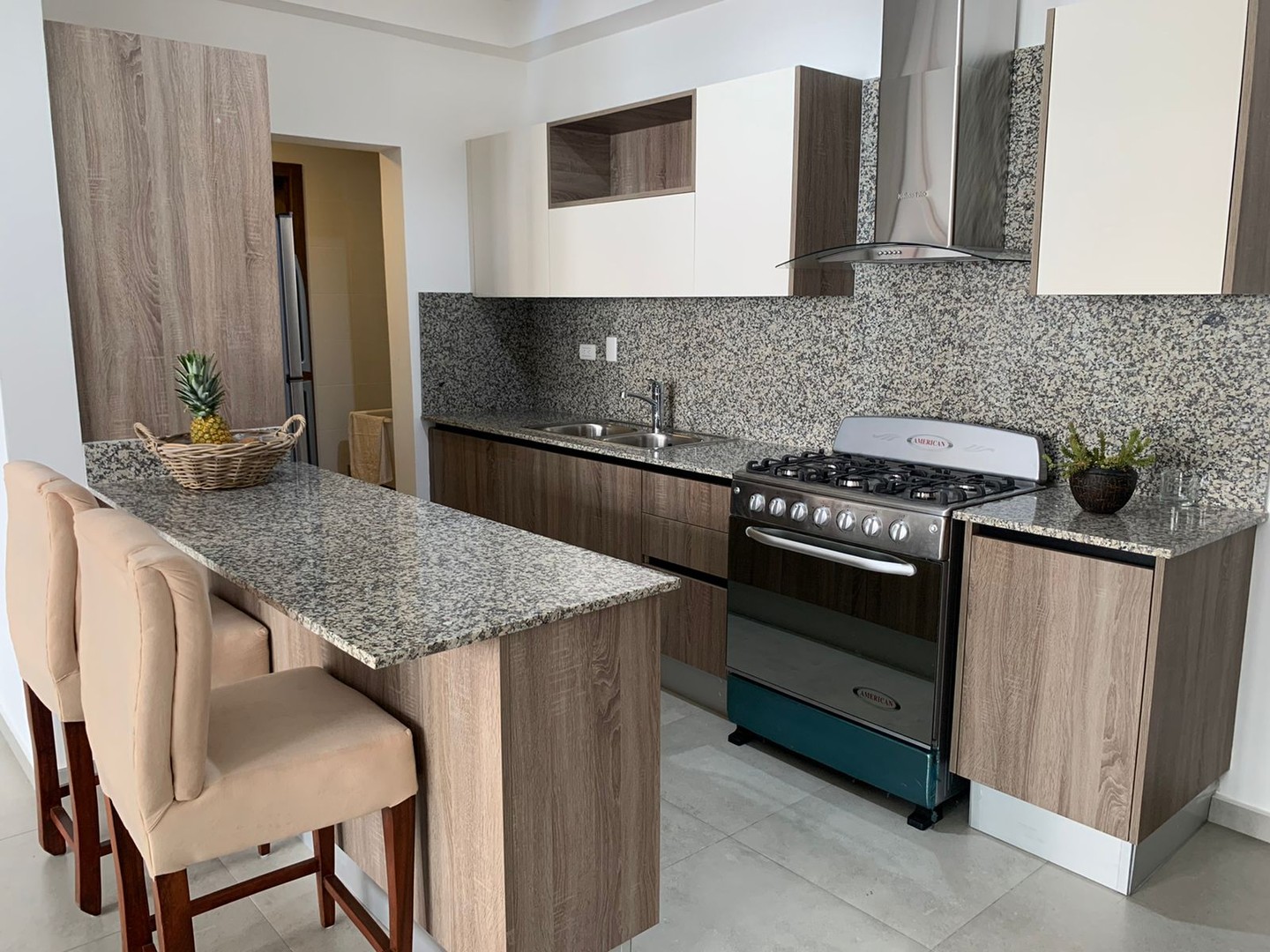 apartamentos - Se alquila apartamento amueblado en La Esperilla 3