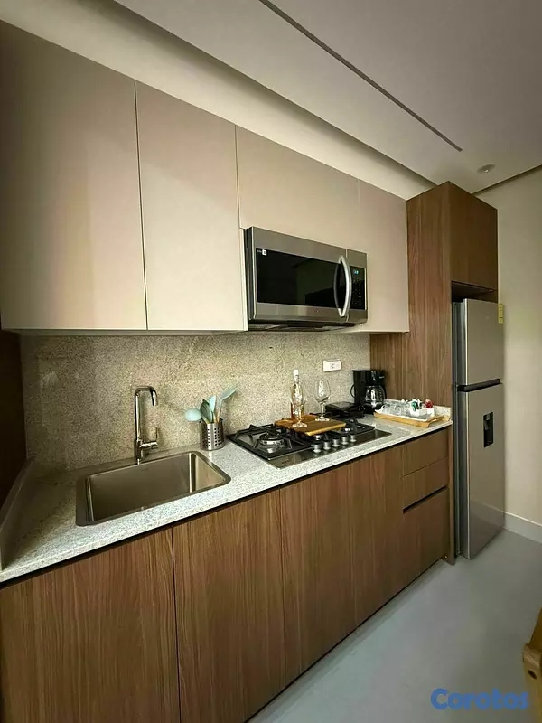 apartamentos - APARTAMENTO AMUEBLADO EN VENTA - SANTIAGO 3