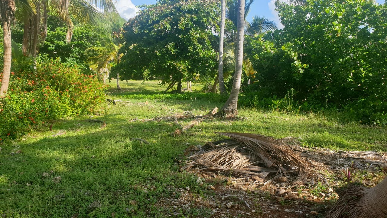 solares y terrenos - Terreno de venta en Las Talanqueras  de Samaná a 10 Min de Las Galeras 23 Rincón 3