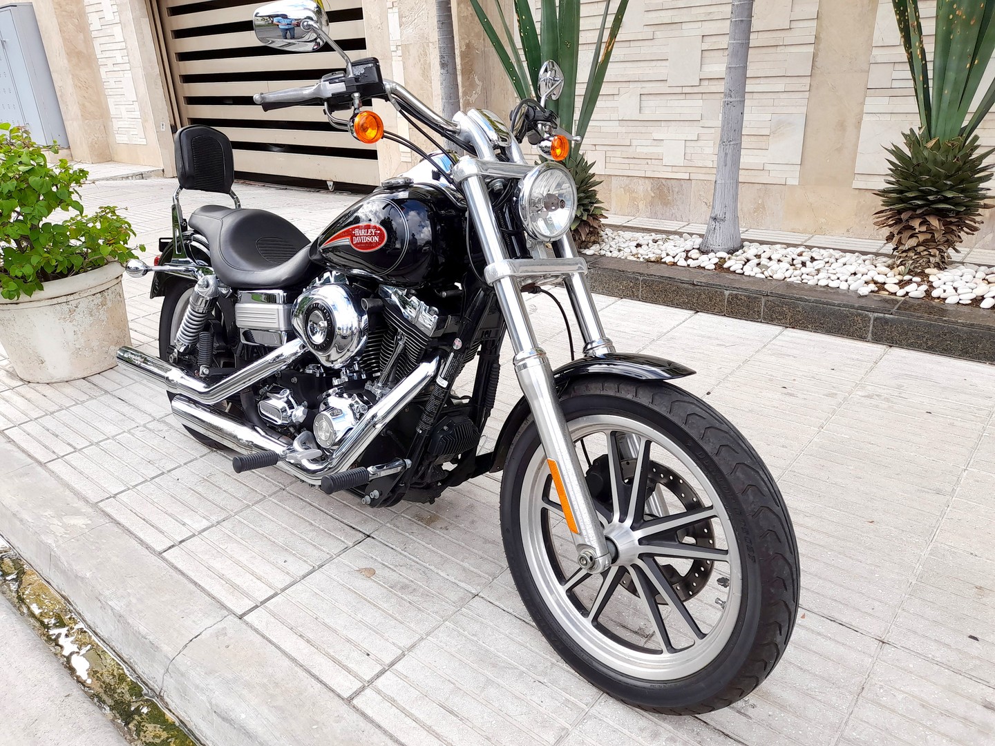 motores y pasolas - Harley Davidson Dyna Low Rider 1600cc 6