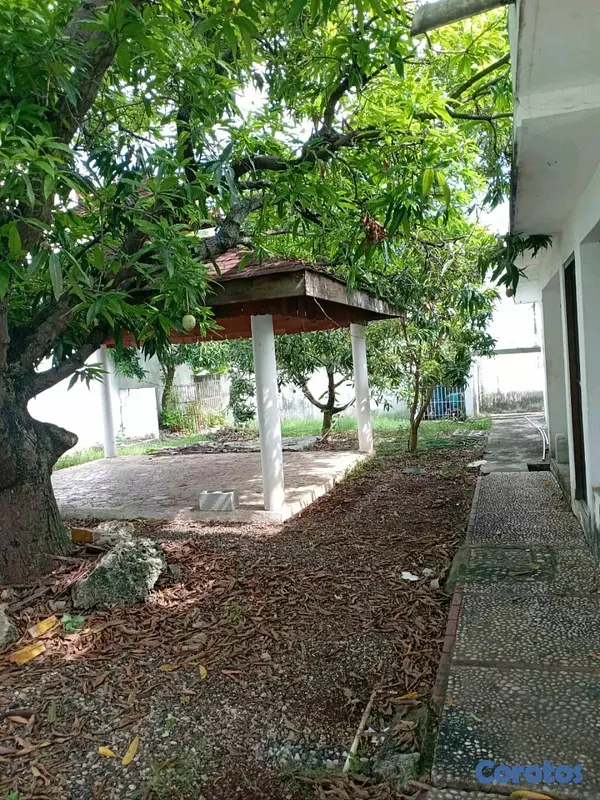 casas - Alquilo  Casa para Oficinas y almacen  4