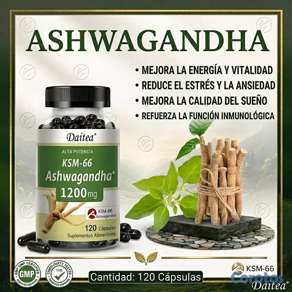 Salud y Equipamiento Médico - suplementos 2