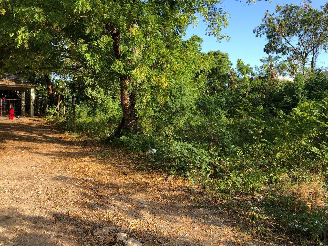 solares y terrenos - Terreno en venta en el sector Urbanización Los Jardines,  Boca chica, Santo Domi 2