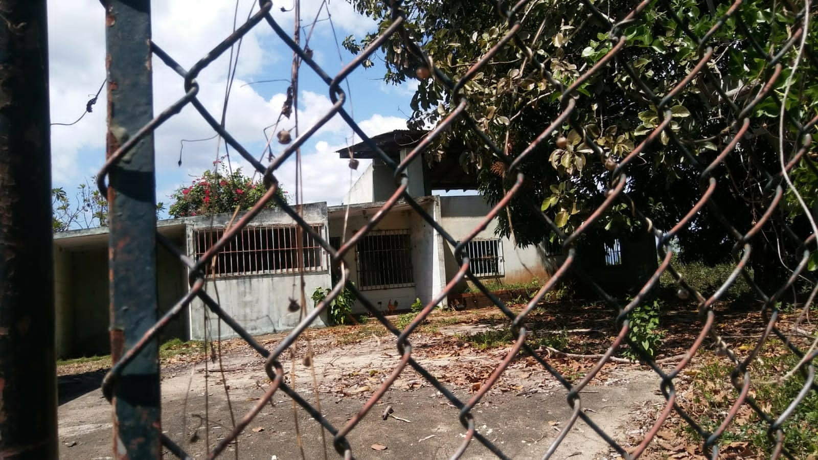 solares y terrenos - Finca en San Cristobal 29.5 tarea con casa y piscina en Municipio Hato Damas