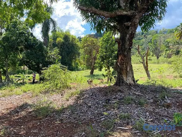 solares y terrenos - Terreno en venta en San Cristobal 5