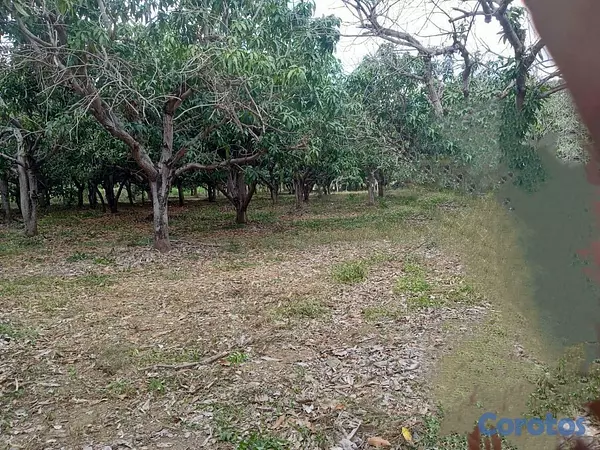 solares y terrenos - Terreno en venta 19,134M2em Bani- Provincia Peravia Rep.Dom 5