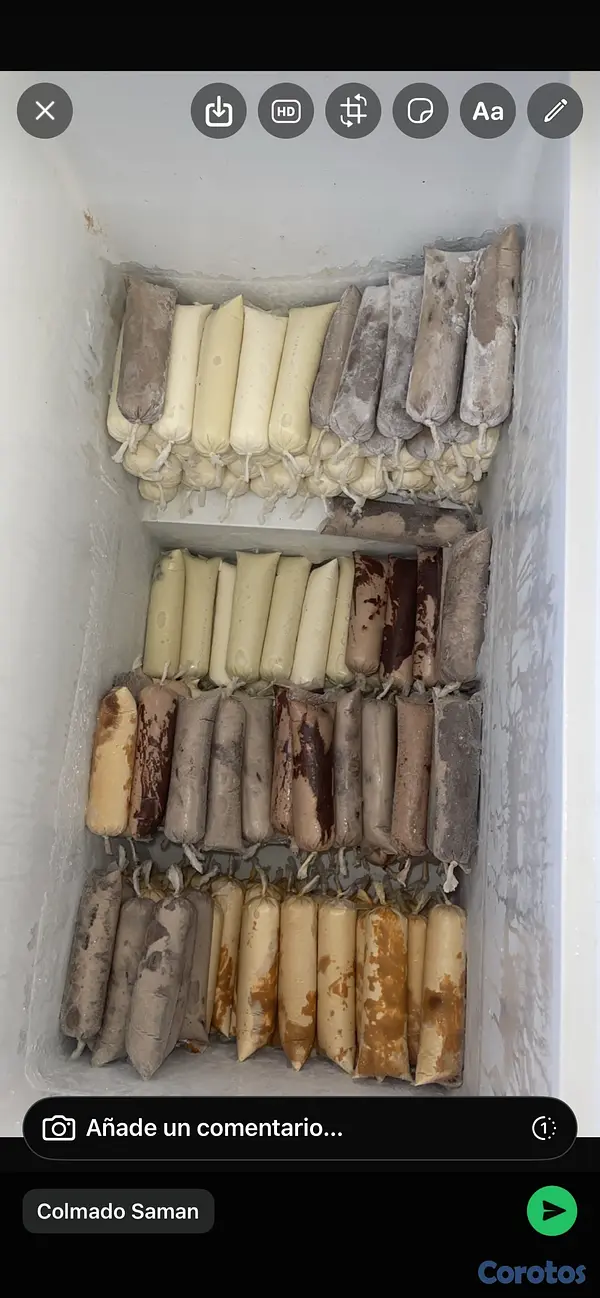 cocina - helados naturales  15
