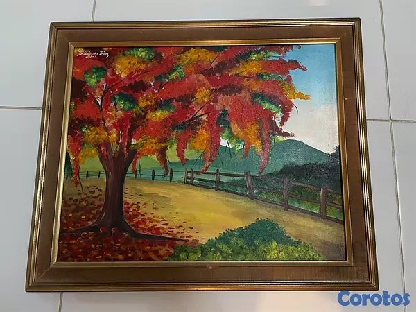 decoración y accesorios - Cuadros y fotografías enmarcadas 2