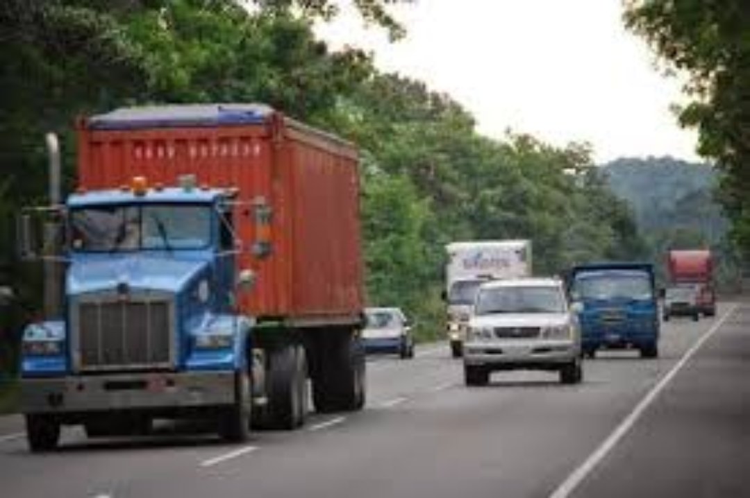 camiones y vehiculos pesados - PATANAS MALECON 6