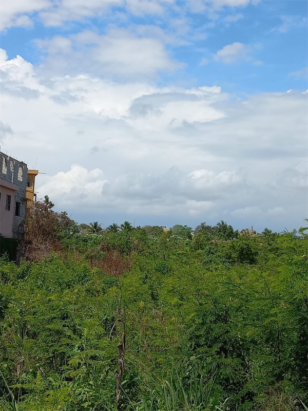 solares y terrenos - Venta de terreno de 48,766 en la marginal de las Américas a 3000 pesos por metro 6