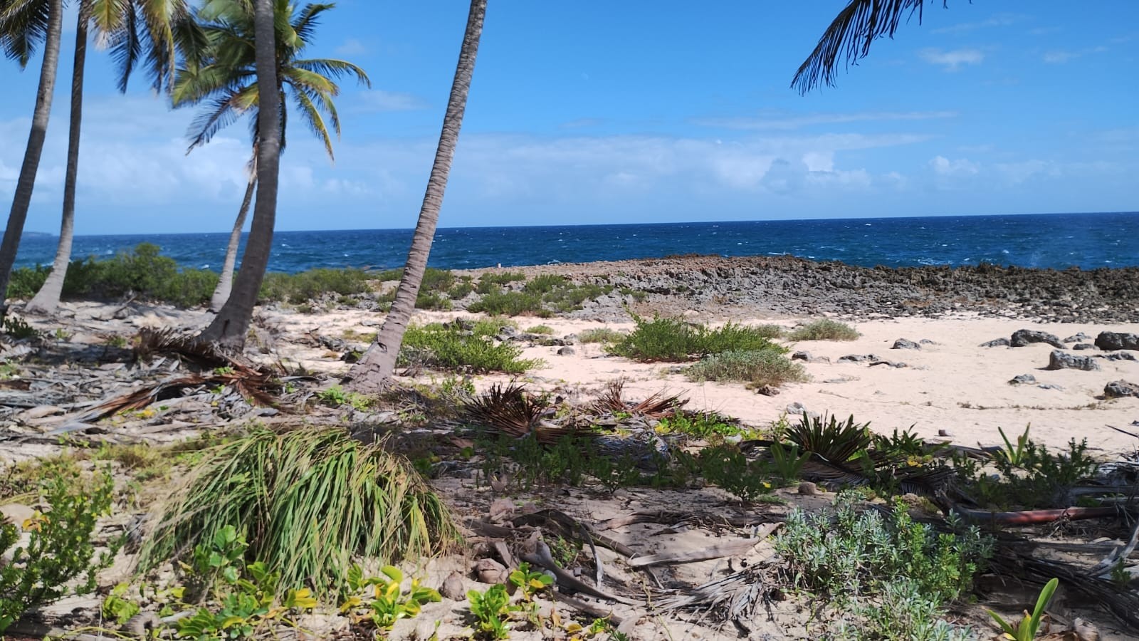 solares y terrenos - Terreno de venta en Las Talanqueras  de Samaná a 10 Min de Las Galeras 23 Rincón 6