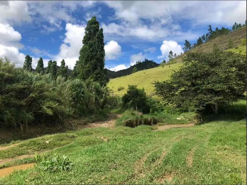 solares y terrenos - Finca en Constanza de 796 tareas con titulo y deslinde  0