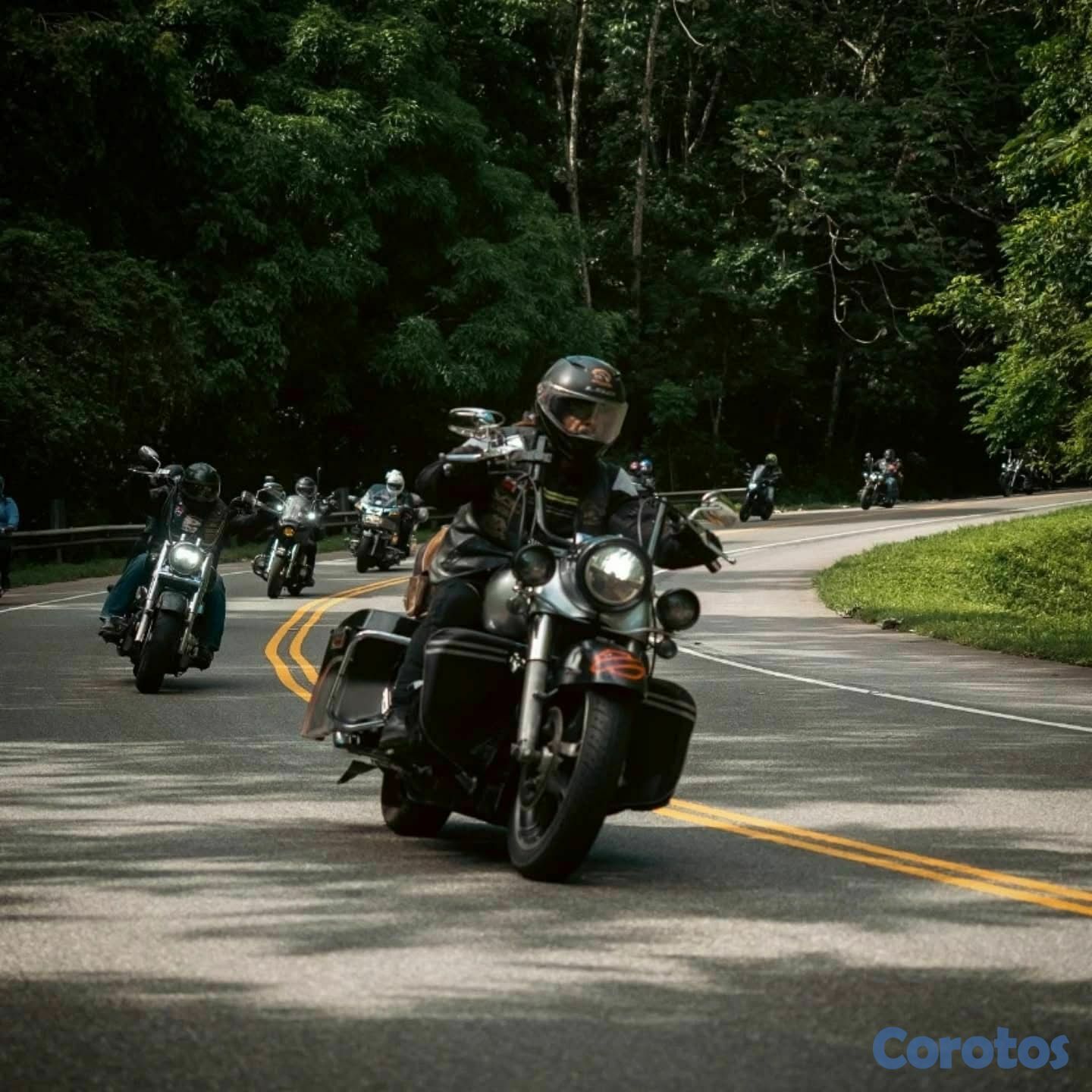 motores y pasolas - Harley Davidson 1