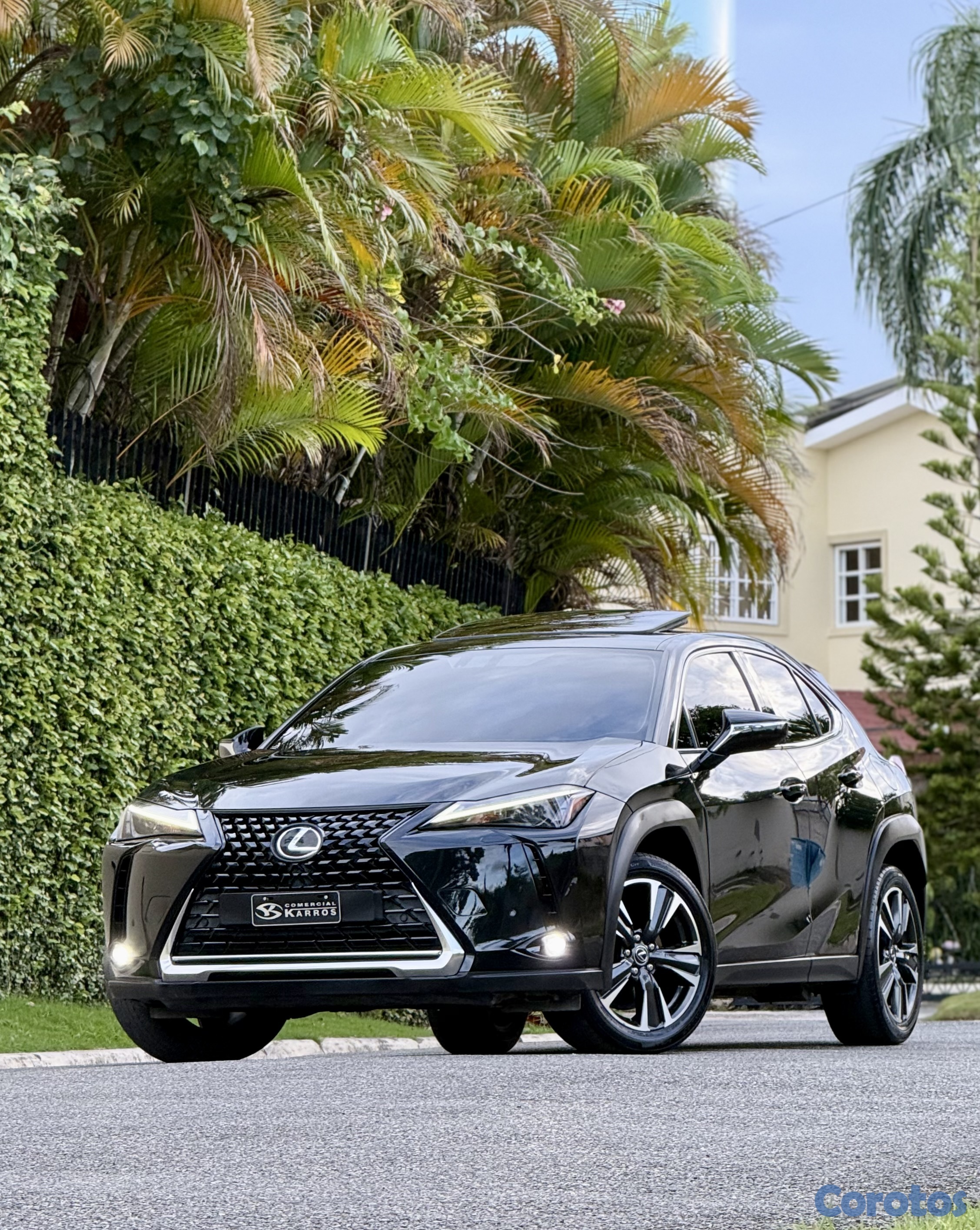 jeepetas y camionetas - Lexus UX250h Hybrid 2024 Delta Comercial 1