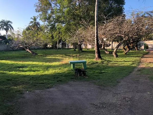 solares y terrenos - Terreno en venta en el sector Urbanización Los Jardines,  Boca chica, Santo Domi 6