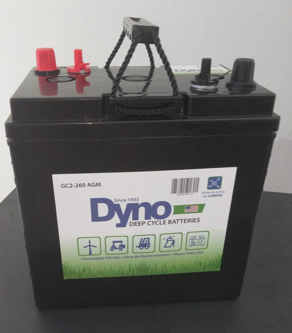 plantas e inversores - Batería  Dyno 6  voltios AGM nueva Generación 