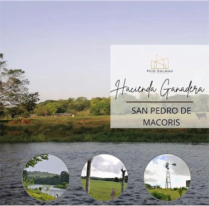 otros inmuebles - Venta de Hacienda Ganadera en Producción actual