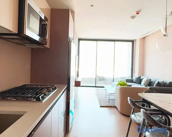 apartamentos - Alquiler de Apartamento Amueblado en Piantini 6