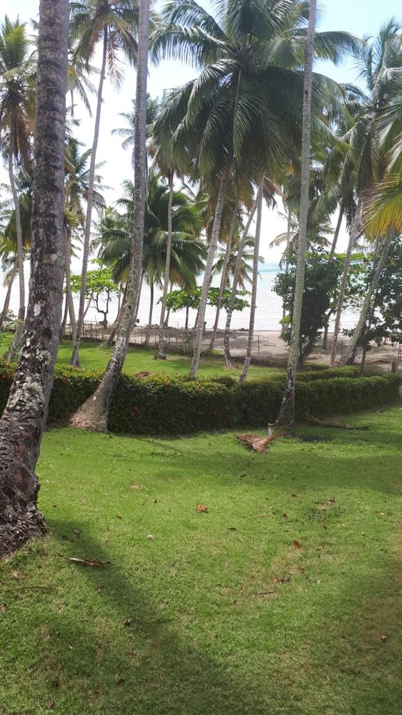solares y terrenos - Sanchez samana vendo terreno con playa  3