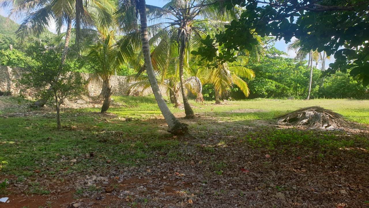 solares y terrenos - Terreno de venta en Las Talanqueras  de Samaná a 10 Min de Las Galeras 23 Rincón 8