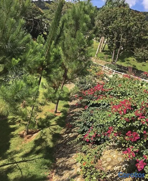 apartamentos - Se alquila Villa para renta fija en La Cuaba Pedro 3