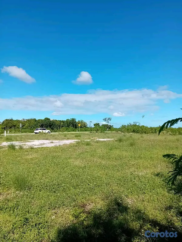 solares y terrenos - Venta de Terreno ( Cap Cana)  3