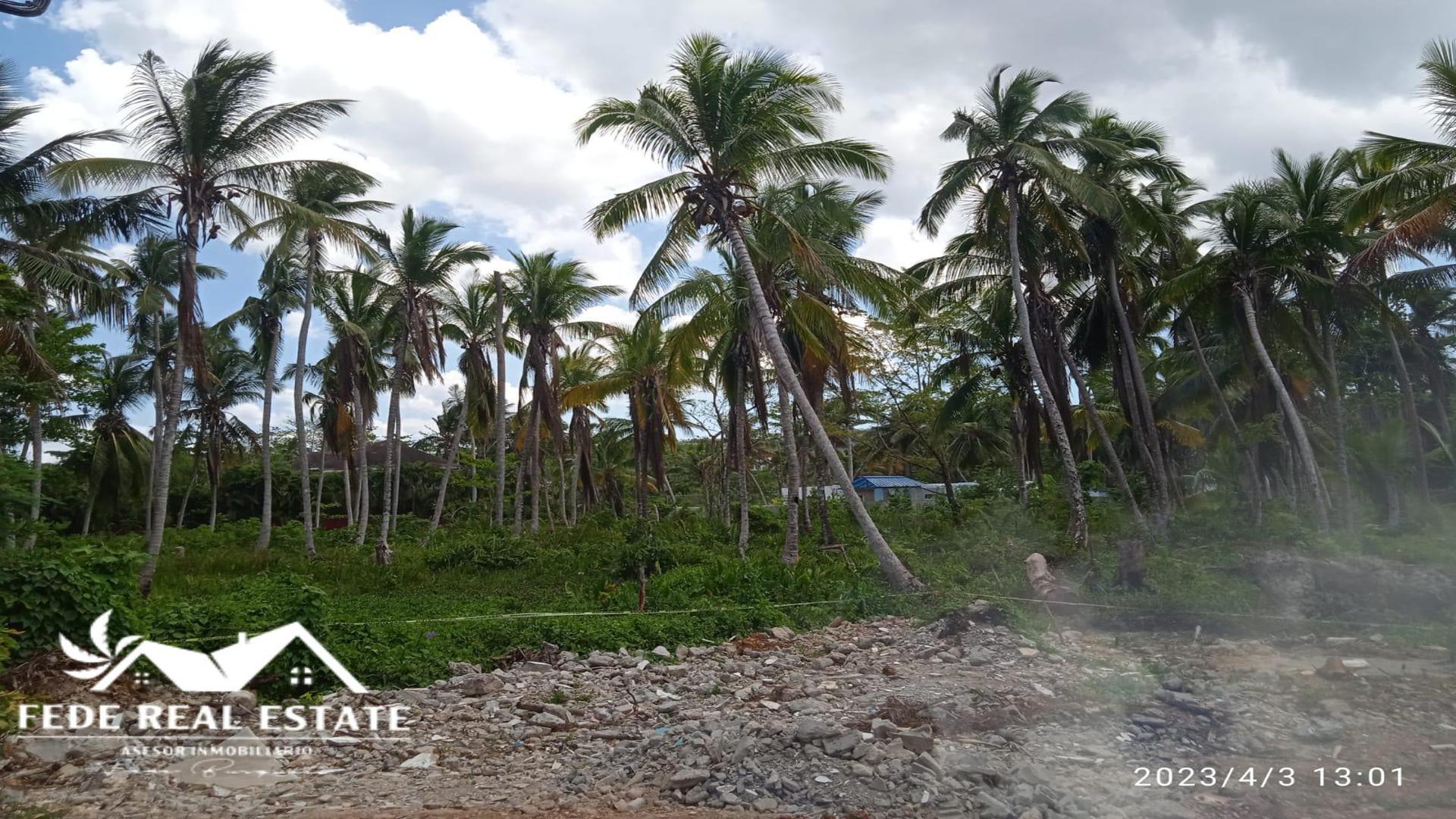 solares y terrenos - TERRENO CERCA DE PLAYA BONITA - LAS TERRENAS