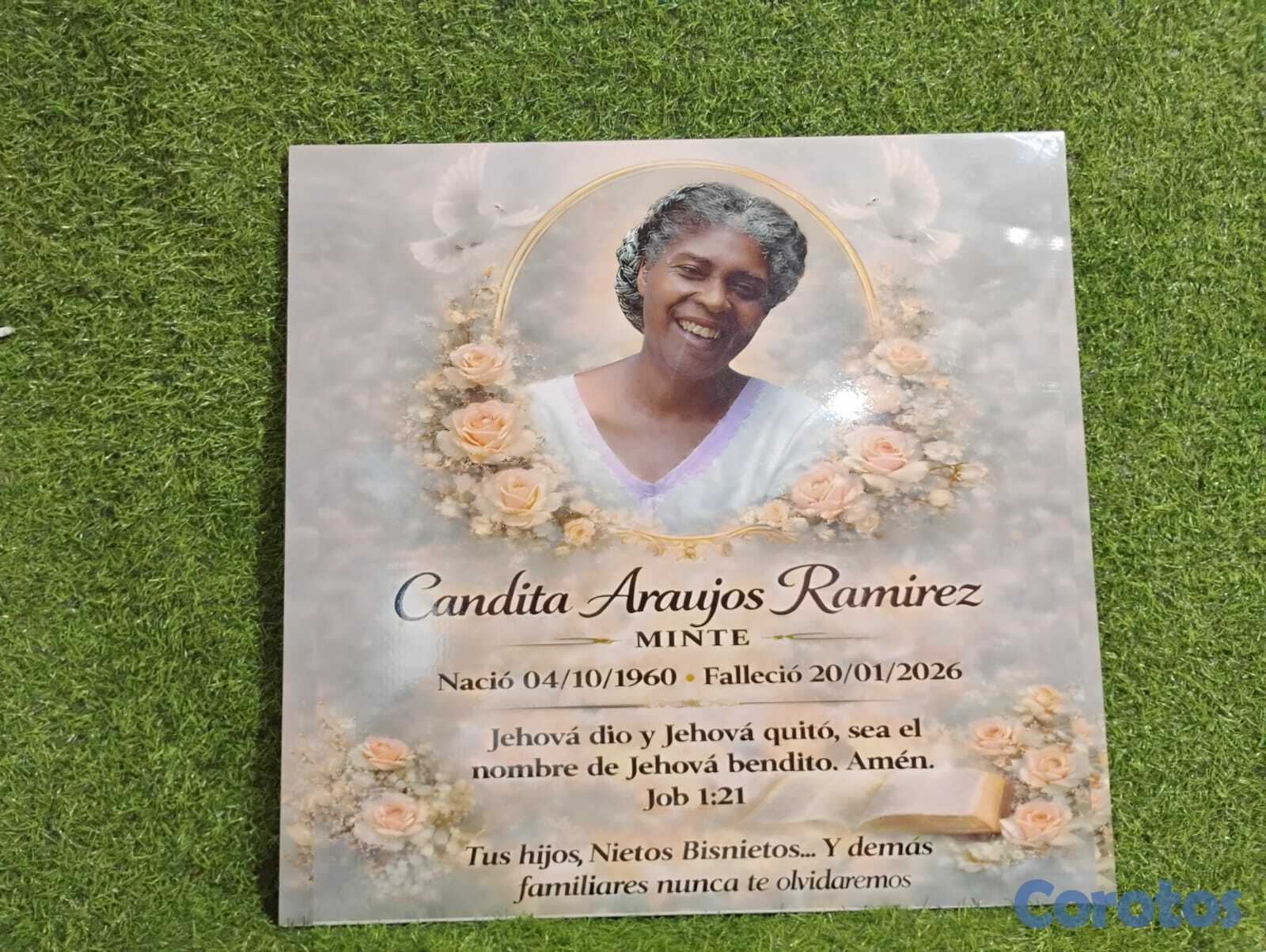 servicios profesionales - LAPIDAS MENDEZ, LA MEJOR CALIDAD 7