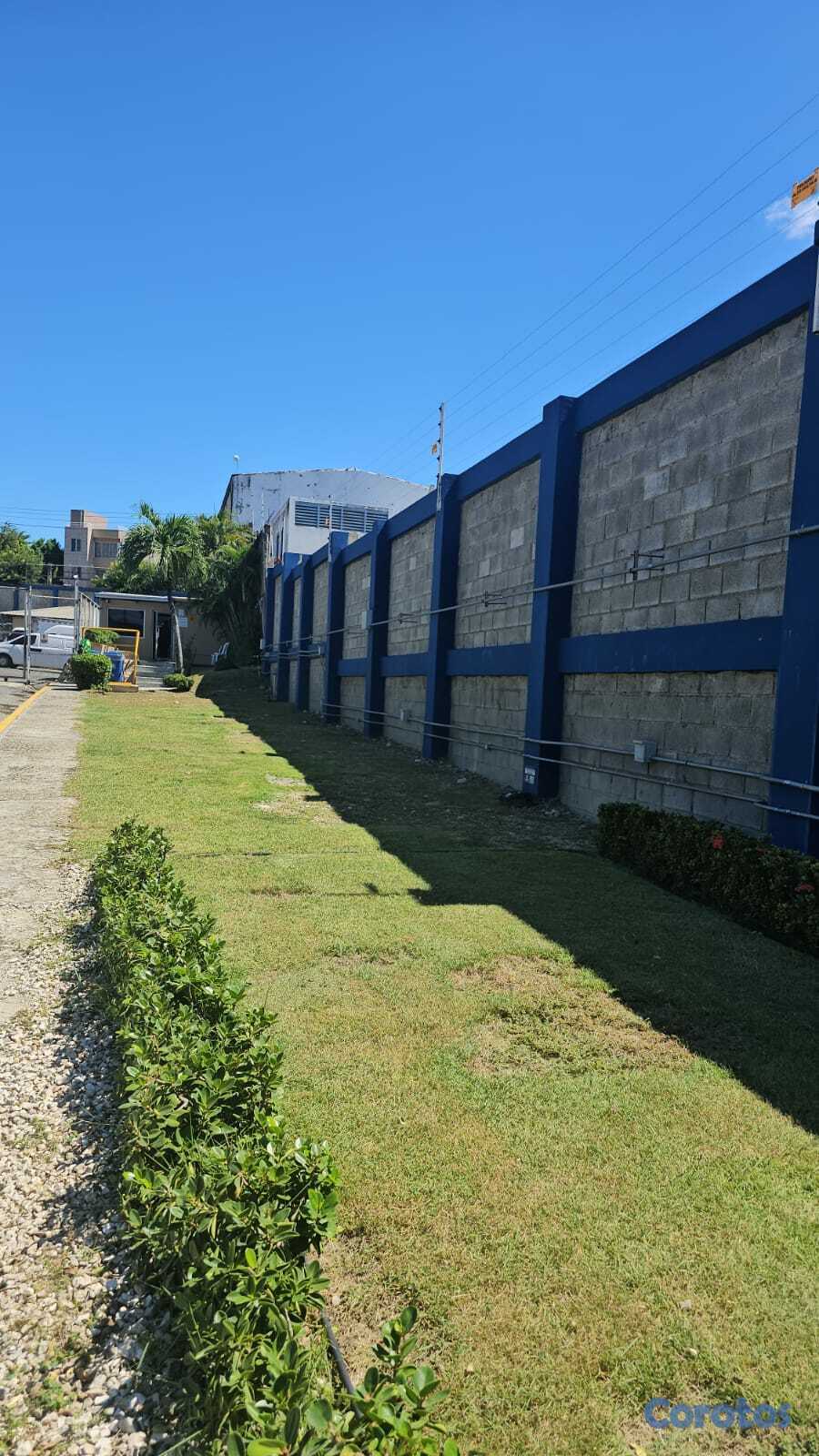 servicios profesionales - Servicio de Mantenimiento de Jardines 2