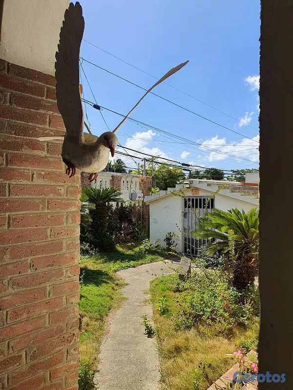 casas - Casa en esperanza 4