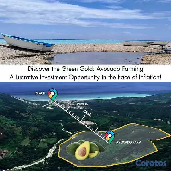 solares y terrenos - Vendo Finca de AGUACATE en Paraíso, BARAHONA, 255, 8