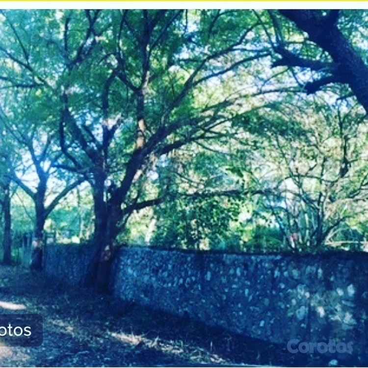 solares y terrenos - Terreno Juan Dolio Autovia del Este
 5
