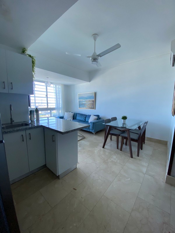apartamentos - Rento apartamento amueblado en Gazcue piso alto vista al mar 5