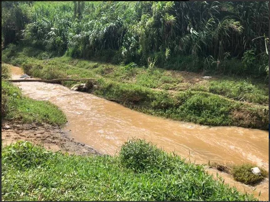 solares y terrenos - Finca en Constanza de 796 tareas con titulo y deslinde  3