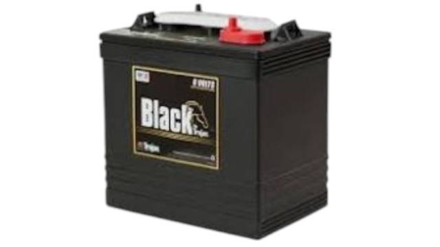 plantas e inversores - BATERIA TROJAN BLACK PARA INVERSOR