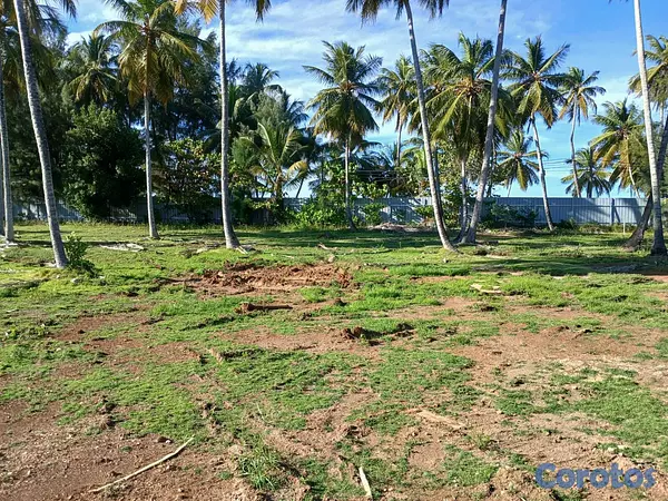 solares y terrenos - Joya Frente al Mar en Las Terrenas | 17,500 m² con 5