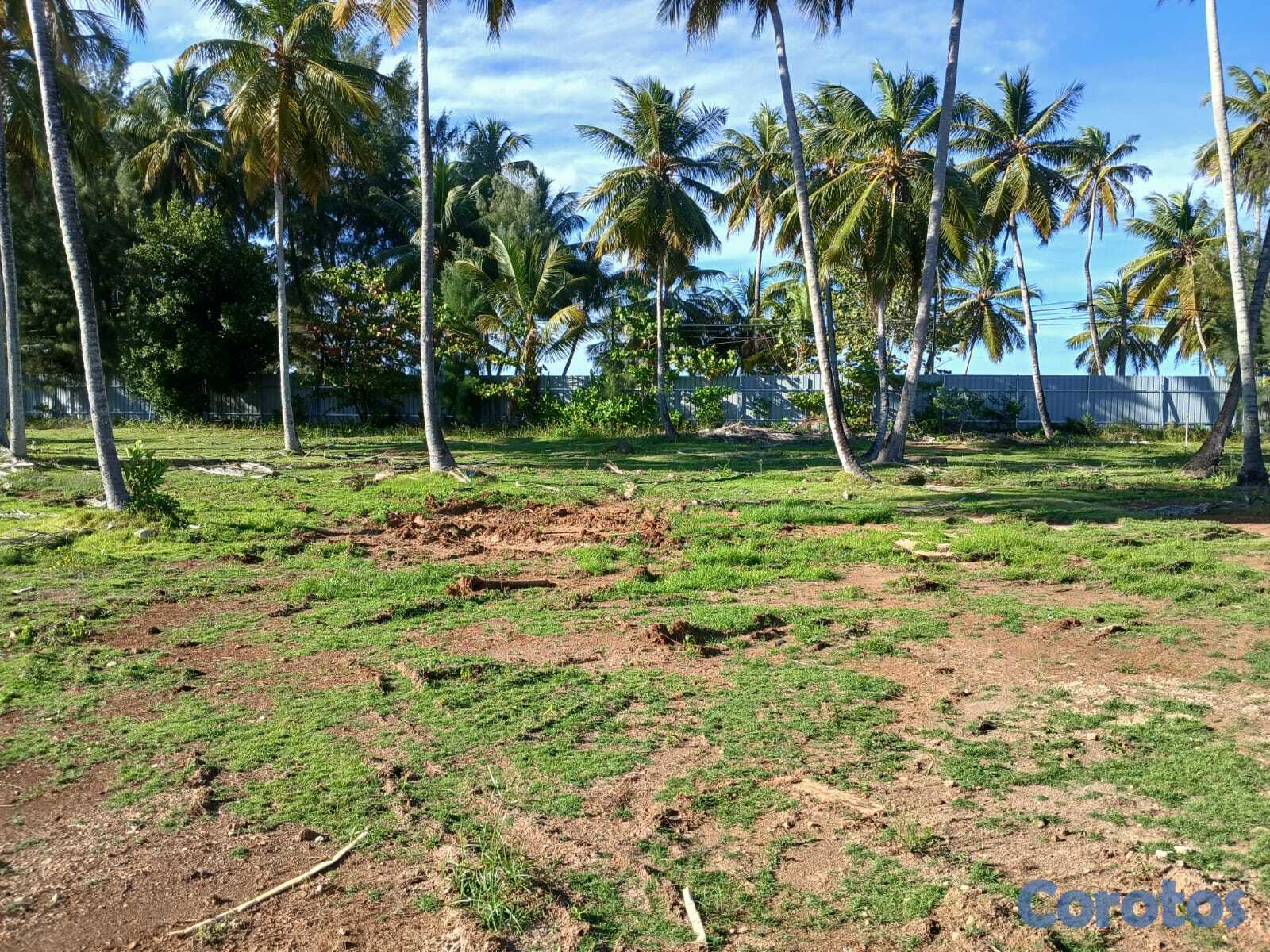 solares y terrenos - Joya Frente al Mar en Las Terrenas | 17,500 m² con 5