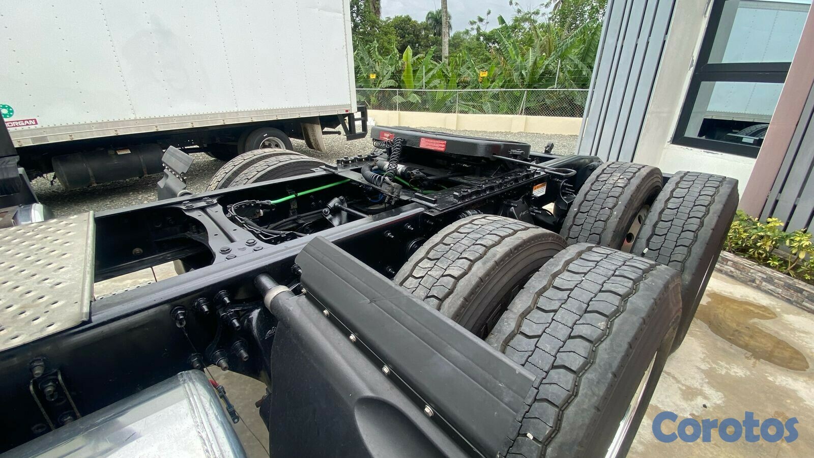 camiones y vehiculos pesados - Cascadia nítido 2017 2