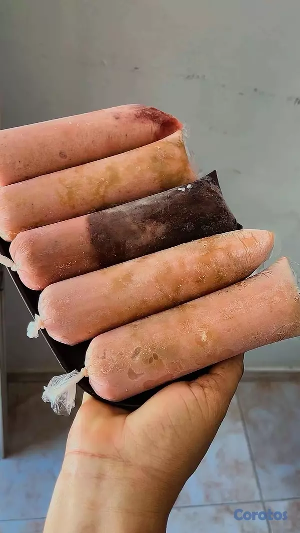 cocina - helados naturales CyR el verdadero sabor  16