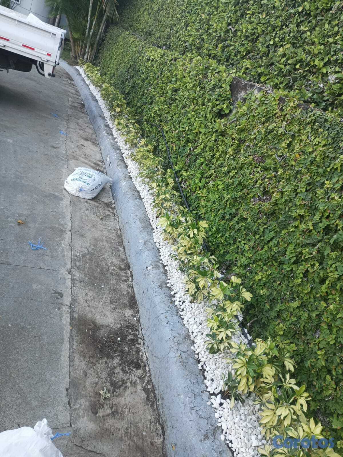 servicios profesionales - Servicio de Mantenimiento de Jardines 4