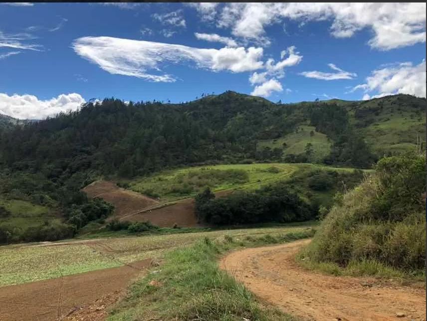 solares y terrenos - Finca en Constanza de 796 tareas con titulo y deslinde  4
