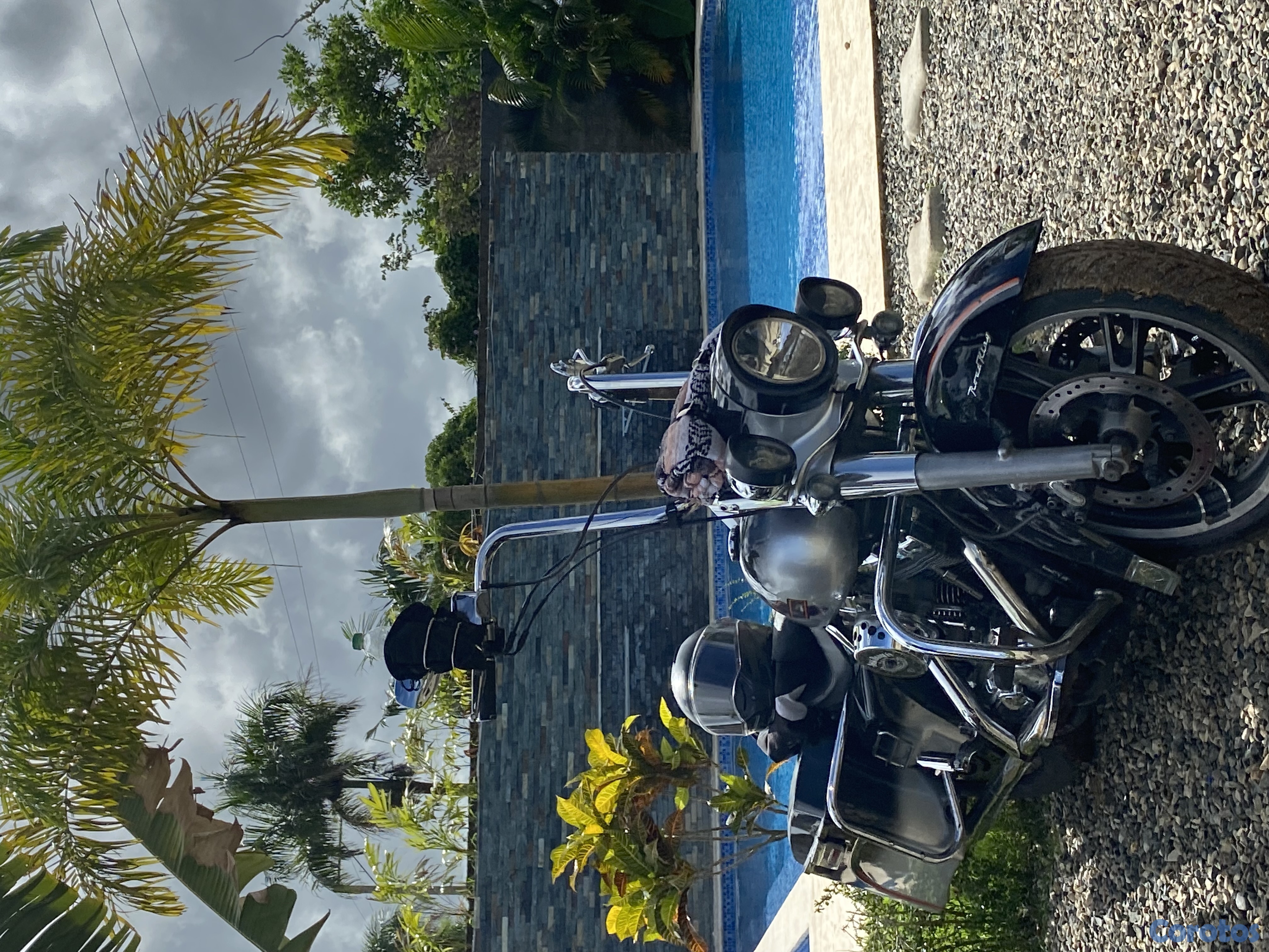 motores y pasolas - Harley Davidson 3