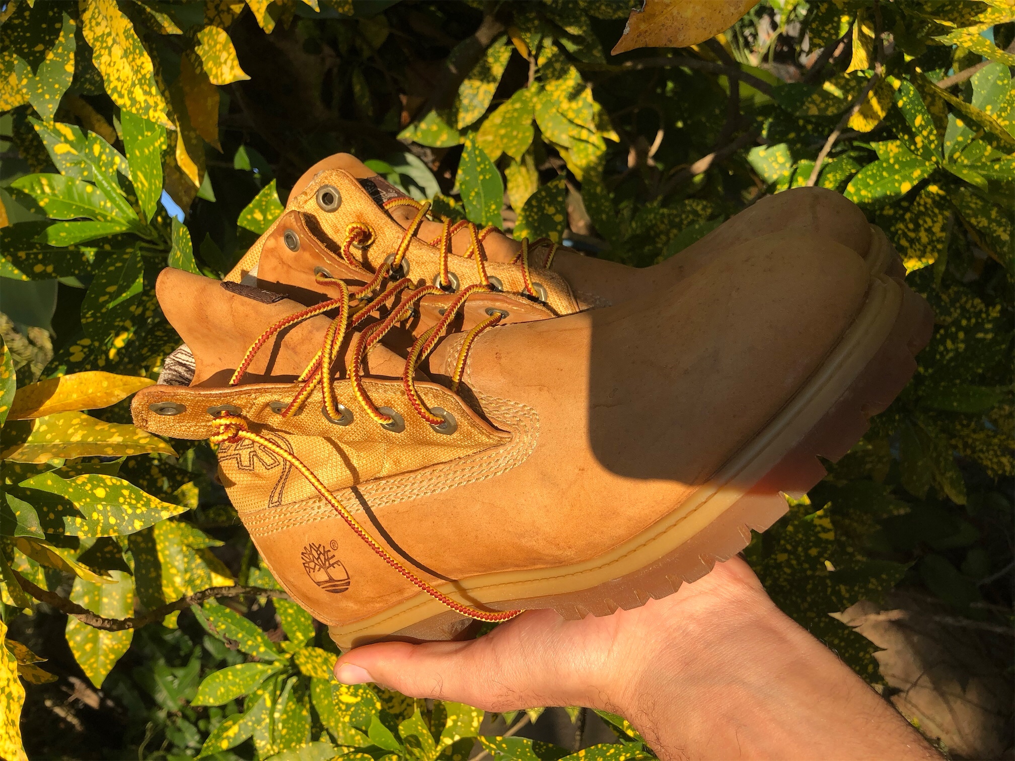 zapatos unisex - Botas Timberland 100% Originales