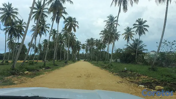 solares y terrenos - Solares en Nagua desde US115²  8