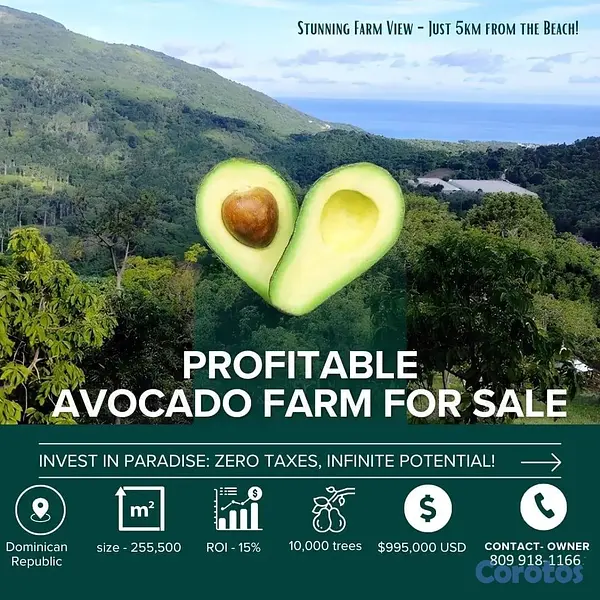 solares y terrenos - Vendo Finca de AGUACATE en Paraíso, BARAHONA, 255, 9
