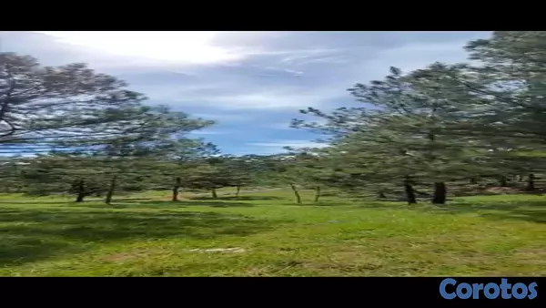 solares y terrenos - Solares en venta en Jarabacoa con vistas a las montañas 1