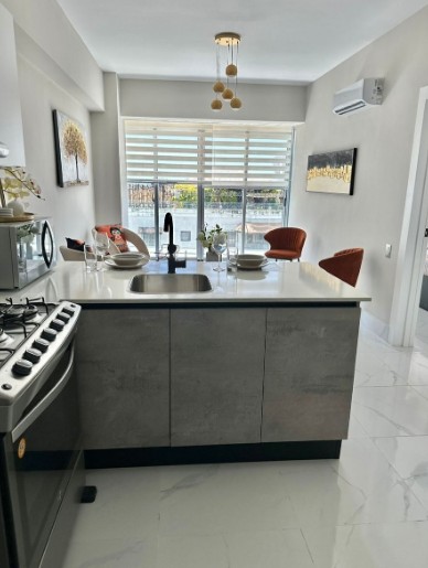 apartamentos - Alquiler de Apartamento Amueblado en Piantini 1