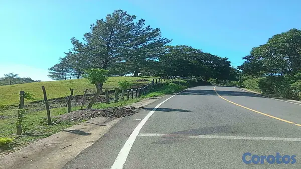 solares y terrenos - Lotes en venta en Jarabacoa 3