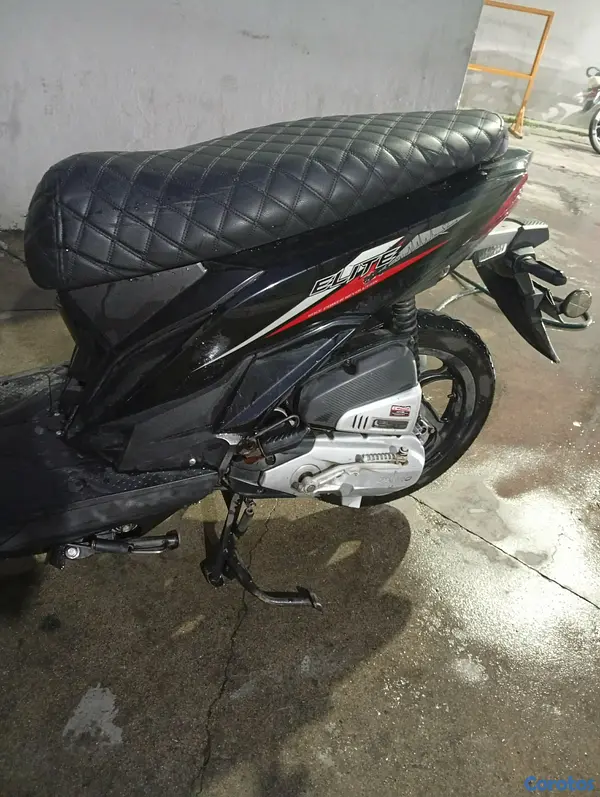motores y pasolas - Tauro Elite 110 7