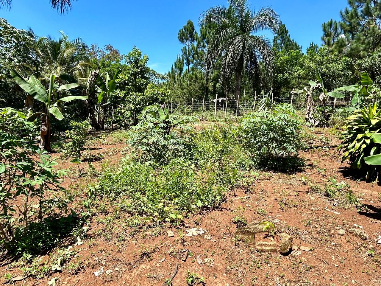 casas - Vendo casa comercial en La Autopista Duarte  9
